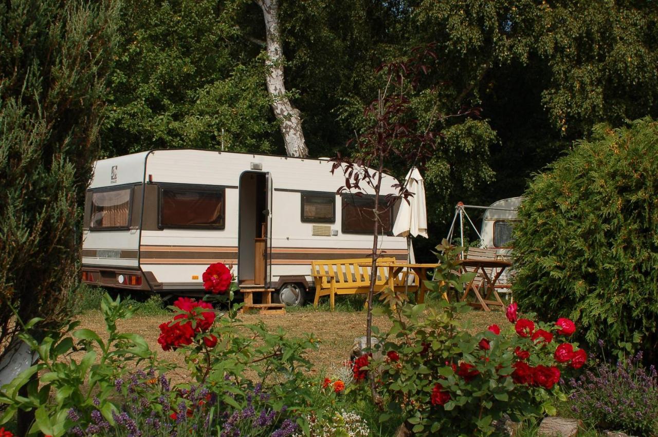 Camping Rogowo Mrzeżyno Exterior foto