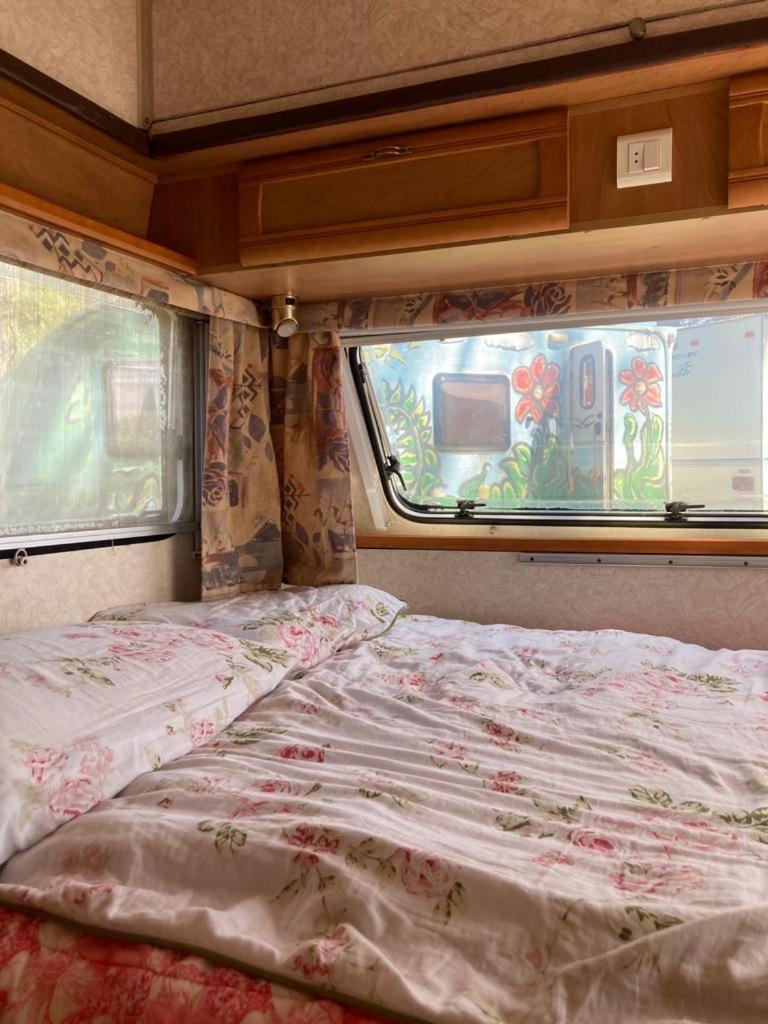 Camping Rogowo Mrzeżyno Quarto foto